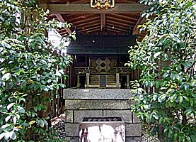 小石川高木神社社殿遠景