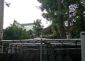 鮫洲八幡神社本殿左後方より