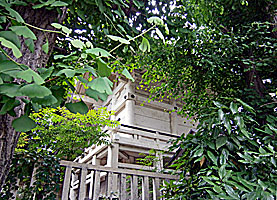 猿江神社本殿左背面