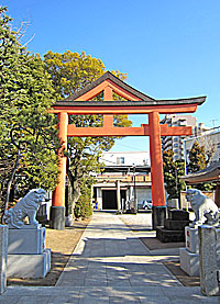 新宿日枝神社拝殿より鳥居を望む