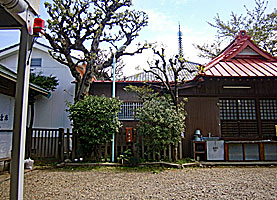 染井稲荷神社社殿右側面