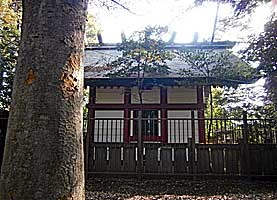 高松八幡神社本殿背面