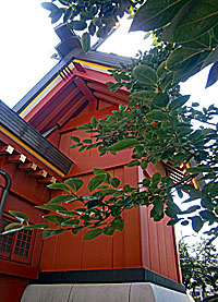 多摩川諏訪神社本殿左背面
