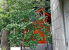 柳島太郎稲荷神社社殿左側面