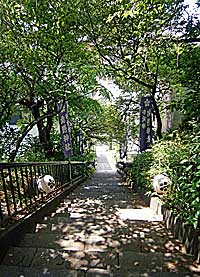 牛天神北野神社石段を見下ろす
