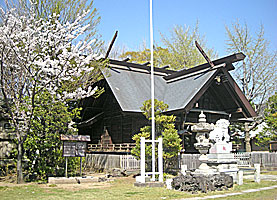島根鷲神社社殿と桜