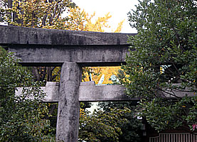 亀戸天祖神社鳥居と千木