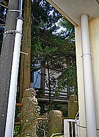 雑司ヶ谷大鳥神社本殿左背面
