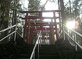 新屋山神社石段上